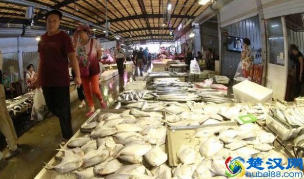  烟台海产品品牌有哪些，烟台海产品批发市场在哪里！