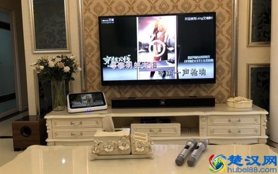  ktv专用音响排行榜，ktv音箱哪个牌子好