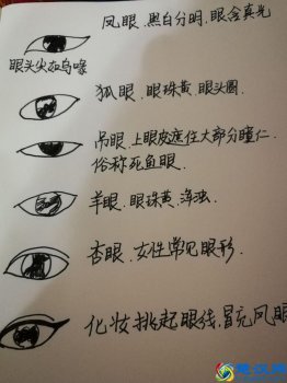  什么是丹凤眼卧蝉眉？眼形大全图解