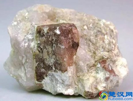  变质岩有哪些（常见变质岩标本及构成）