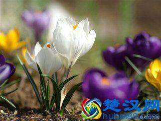  不惑之年是多少岁（人生的不惑之年）