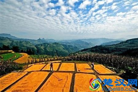  农村土地承包赔偿标准是什么（农村土地征用补偿的标准是啥）