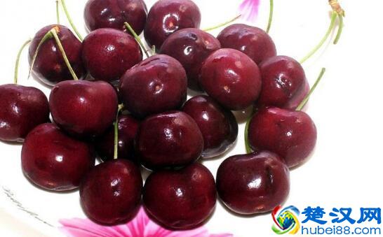  车厘子产地在哪里（车厘子是哪里的特产）