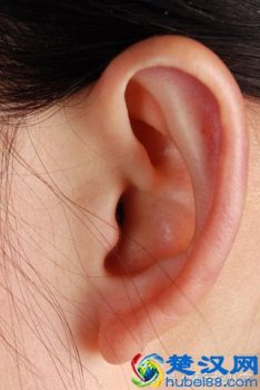  五官指什么（看相常常指的五官是哪些呢？）