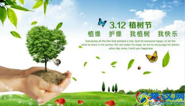  3月12日是什么节日（3月12日究竟是什么日子）