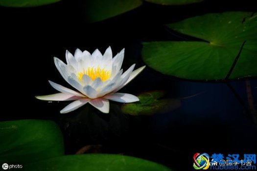  慎独是什么意思（慎独，是一个人的高级修养）