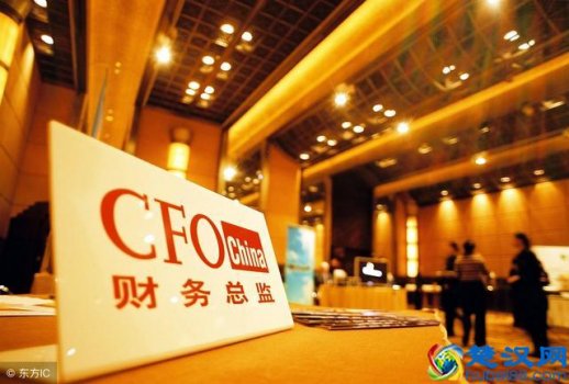  cfo是什么职位（CFO是公司什么职位？）