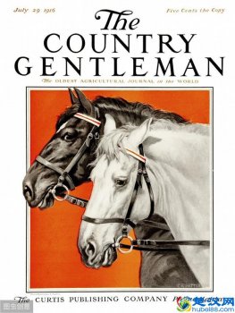  马的品种有哪些（世界著名的马种都有哪些）