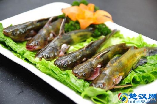  黄鳝鱼的做法有哪些（黄鳝鱼的六大家常做法）