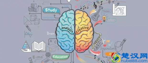  逻辑是什么意思（都说要有逻辑，但究竟什么是逻辑？）