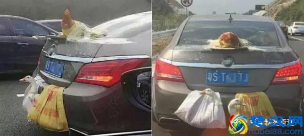  涡轮增压是什么意思（涡轮增压到底是什么）