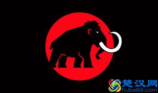  户外服装是什么牌子好（户外服装的特点是什么）