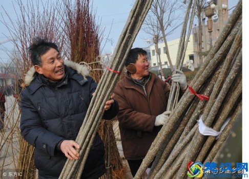  农村种植需要什么条件（农村好项目推荐）