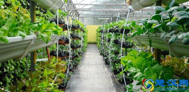  食品店属于什么行业（零食店需要办卫生许可证么）