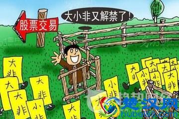  什么是大小非股票（大小非解禁的影响有哪些）