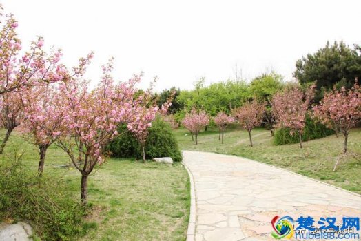  朝阳公园有什么好玩的（北京的朝阳公园里面哪些地方适合孩子玩）