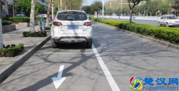  违章停车罚款怎么交罚款多少（违章停车罚款有滞纳金吗）