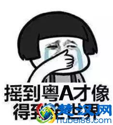 广州怎么样上网摇车牌(广州车牌摇号资格申请)