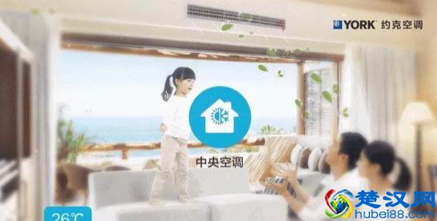  广东约克空调怎么样（约克空调退出中国）