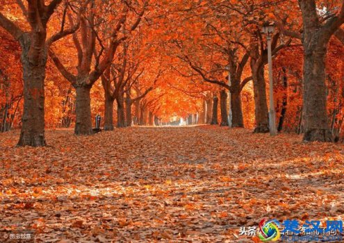  你怎么舍得我难过简谱双手(你怎么舍得我难过原唱)