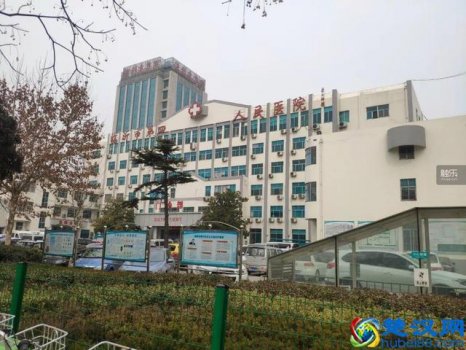  临沂杨永信怎么处理的（杨永信网戒中心少女经历）