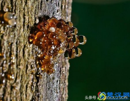  合成树脂是用什么做的（树脂材料都有哪些分类与作用）