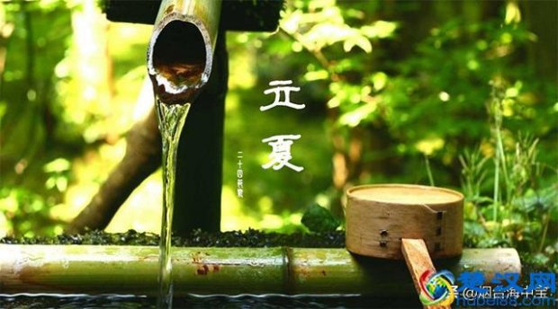  立夏吃什么传统食物（推荐2种做法，荤素搭配营养好）