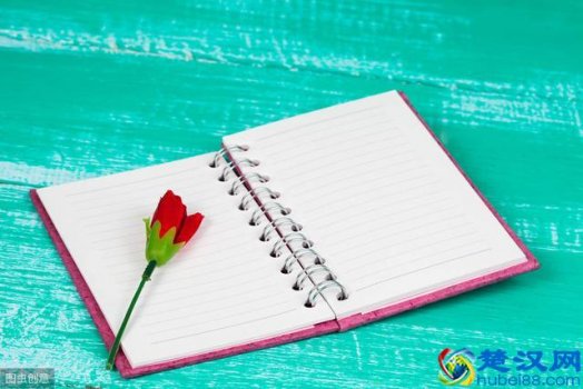  读书笔记摘抄及感悟怎么写（巧用这4种读书笔记读透一本书）