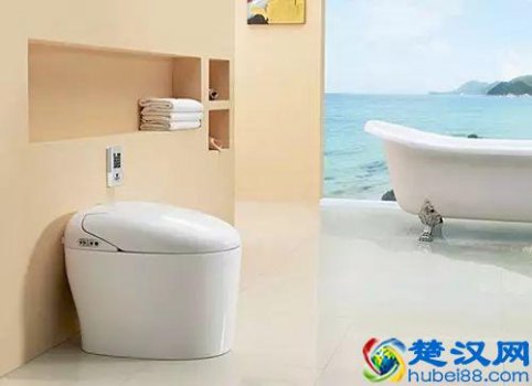  家有什么牌子的马桶好用又不贵（学会看这5个地方，买的马桶便宜又耐用）