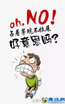 菊粉是什么东西,不适合哪些人喝(菊粉--膳食纤维之王)