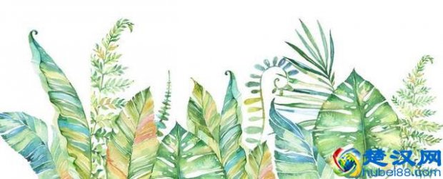  打造爆款的技巧与教程（十大法则让你的新产品狂卖数十亿）