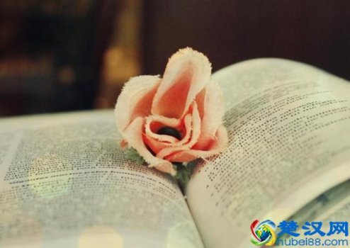  人品是什么意思（什么是人品？）