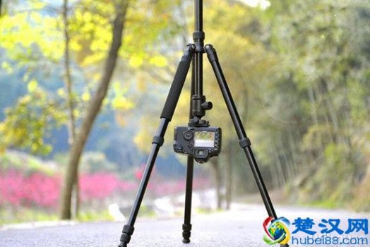  手机拍照什么牌子三脚架好（4款精选三脚架，最低才399）