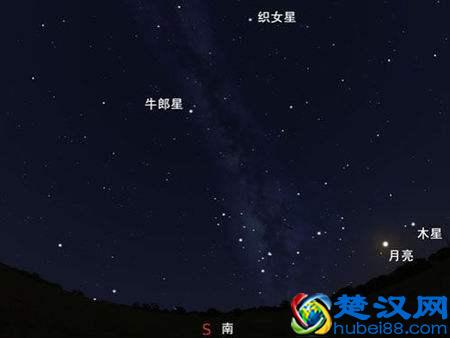  牛郎星属于什么星座（牛郎星有什么特点）