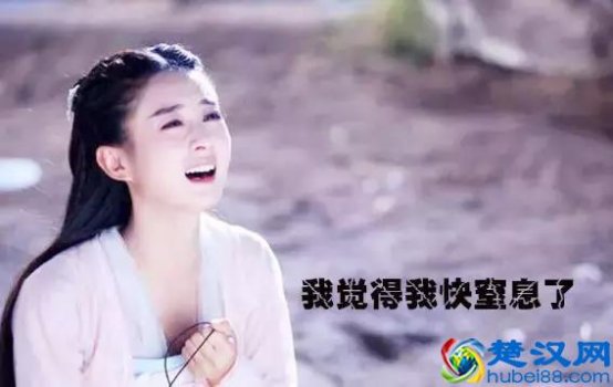  杭州租房价格是多少，杭州租房哪里便宜！