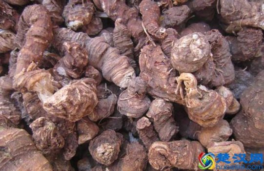  七叶一枝花价格是多少，七叶一枝花有什么作用及功效！