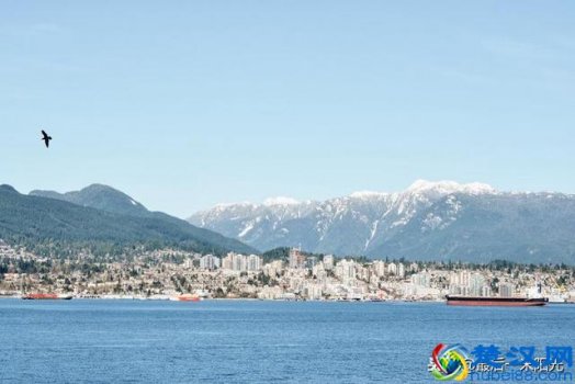  理智是什么意思（大多数人所理解的理智是什么）