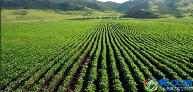  土地流转合同范本，土地流转合同期限是多久！