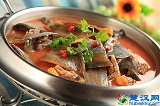  甲鱼怎么杀，甲鱼怎么做好吃！