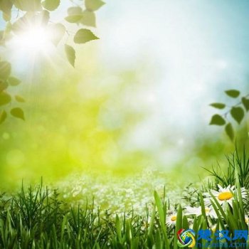  尿酸高怎么办，尿酸高腰注意哪些饮食！