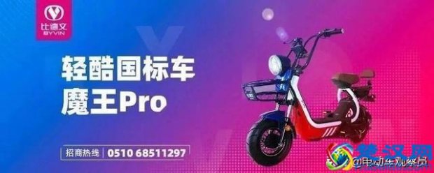  电动自行车哪个牌子好（2019年电动自行车10强品牌出炉）