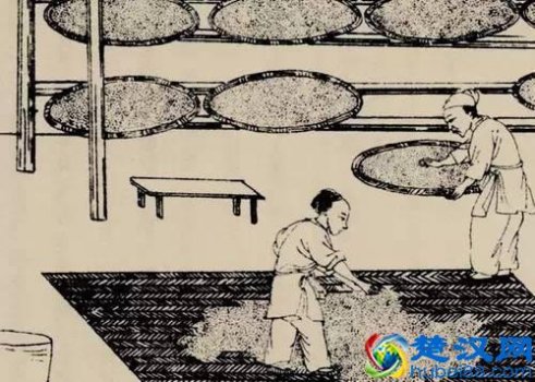  酒曲是什么（酒曲到底是什么）