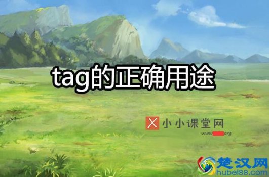  tag的正确用途（正确使用文章标签）