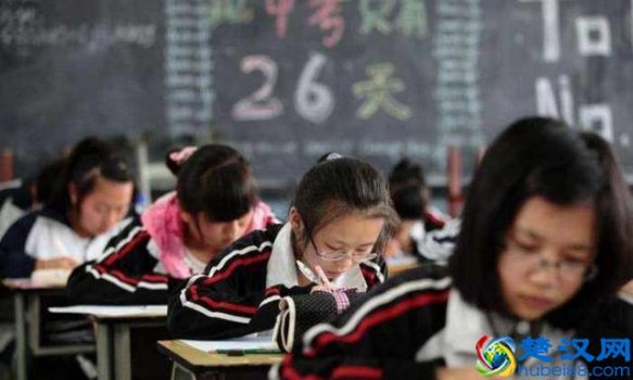  教育培训行业的发展前景(2019年教育培训行业市场规模与趋势分析)