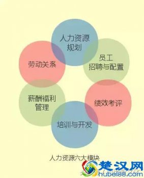  人力资源六大模块内容各有什么特点（六大模块技能快速提升的14套PPT）