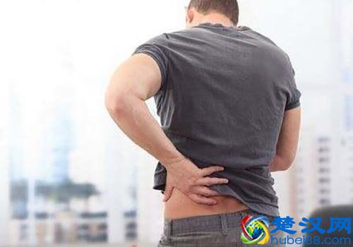 男人补肾吃什么好(最快速养肾补肾好食疗推荐)