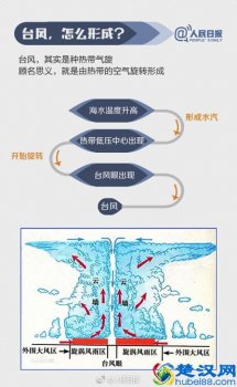  台风为什么叫台风（台风的花式命名怎么来的）