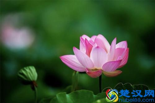  苦命人怎么改变命运（什么是真正的苦命人）