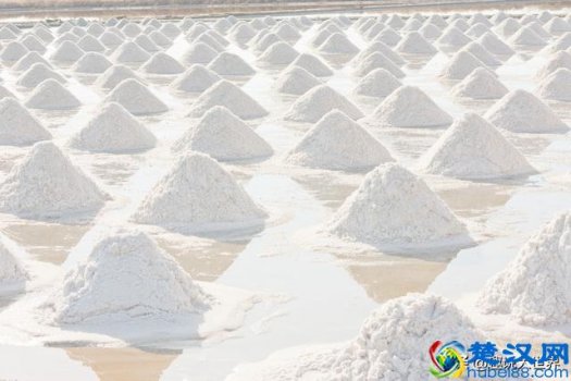  人为什么要吃盐而动物不用（这7种人必须少吃盐）