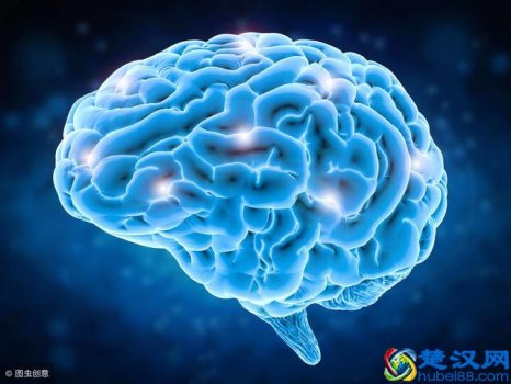  人的大脑右脑控制什么思维（开发幼儿右脑的8大方法）